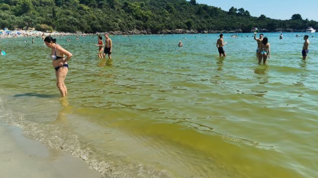 Boka Kotorska