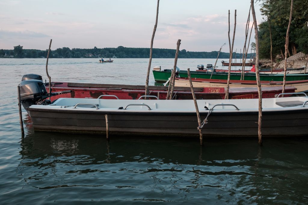 Dunavsko ostrvo Forkontumac