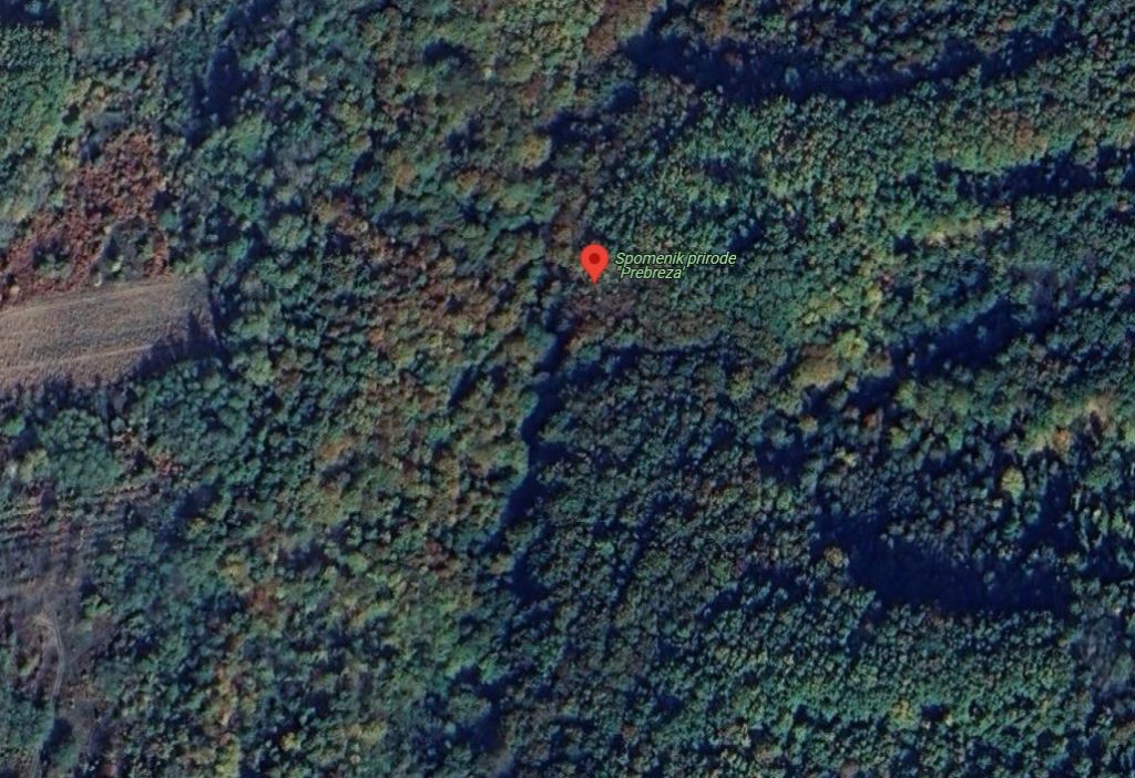 Spomenik prirode Prebreza Blace