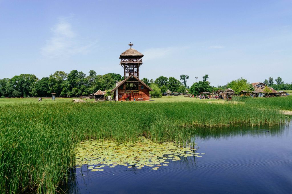 rezervat Zasavica