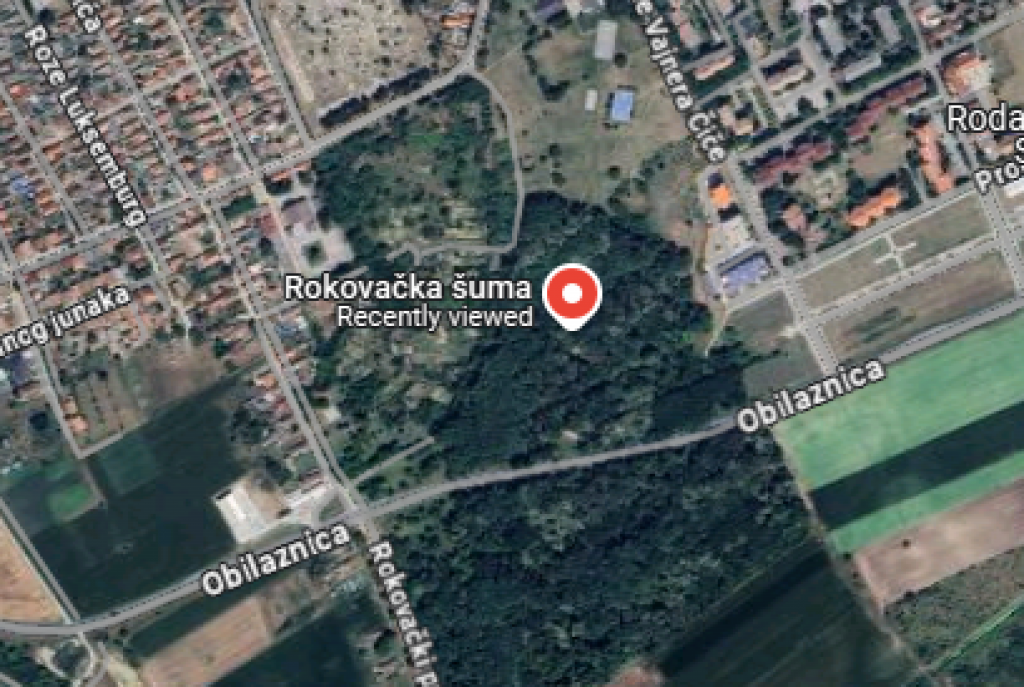 Rokovačka šuma u Somboru