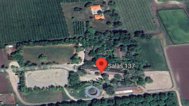 Salaš 137 Čenej Novi Sad