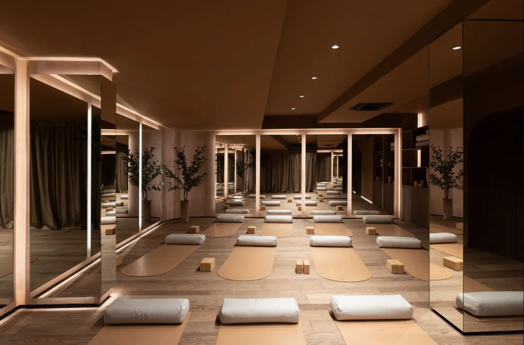 Satya yoga studio Dedinje Beograd