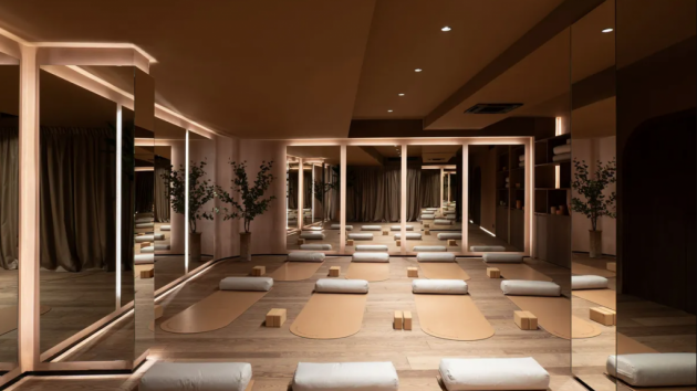Satya yoga studio Dedinje Beograd