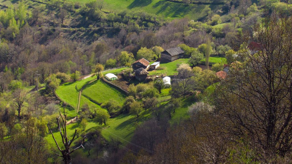 naselje Jarešnik kod Bosilegrada