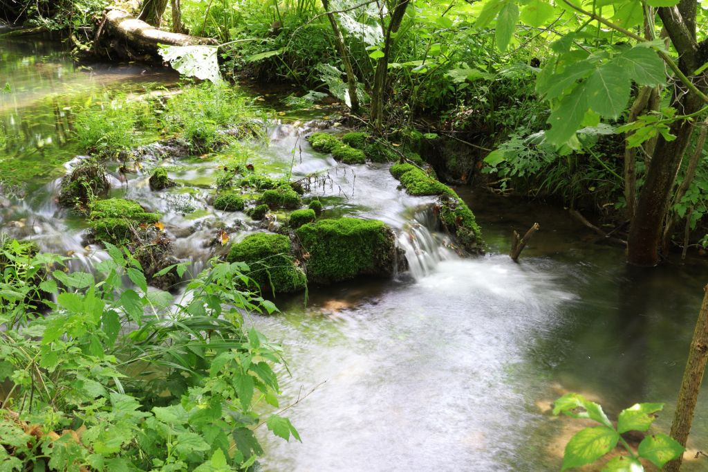 naselje Vrmdža kod Sokobanje