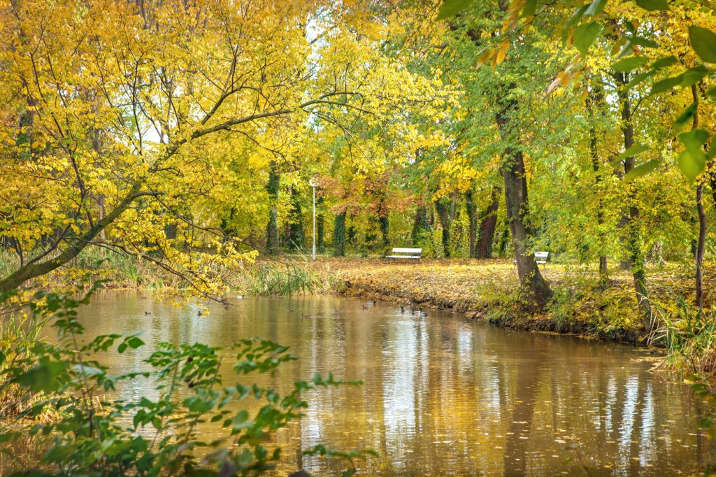 Stari park Temerin