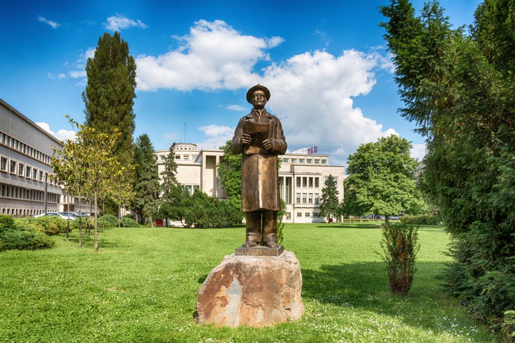 Spomenik Vasi Stajiću Novi Sad