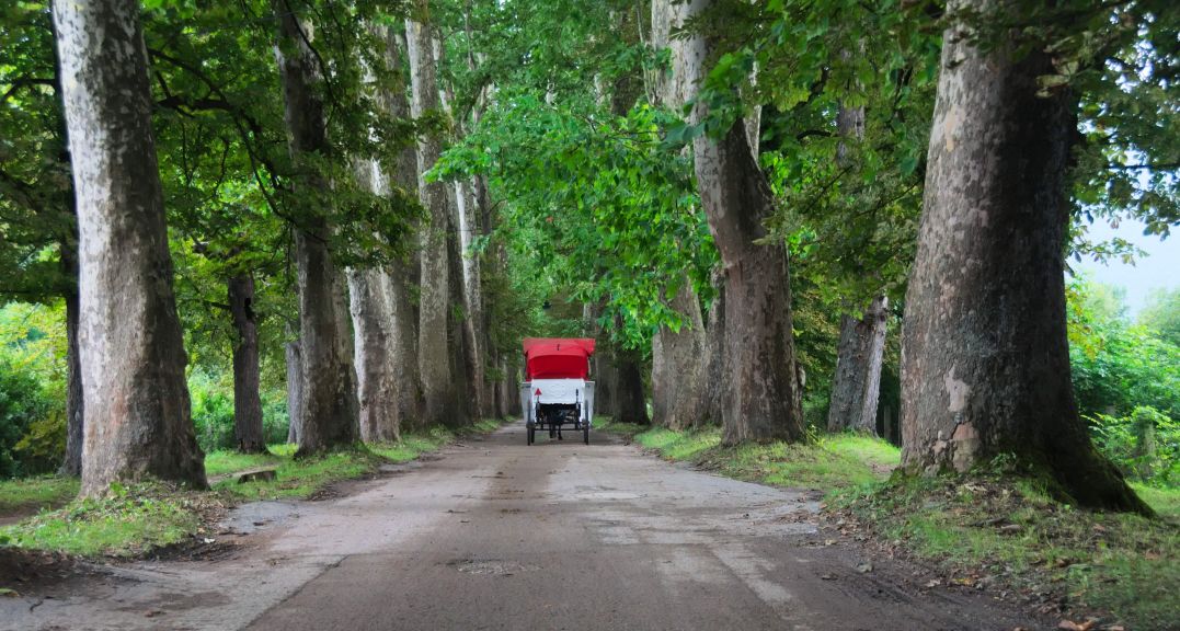 Velika aleja na Ilidži