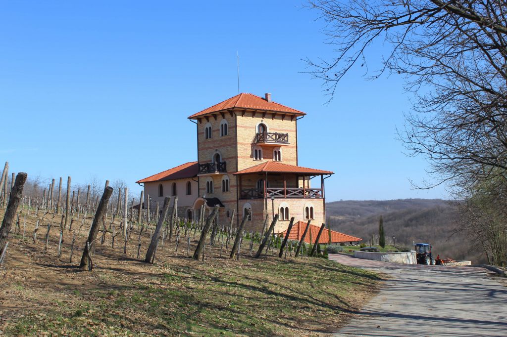 vinarija Ambelos manastira Koporin Velika Plana