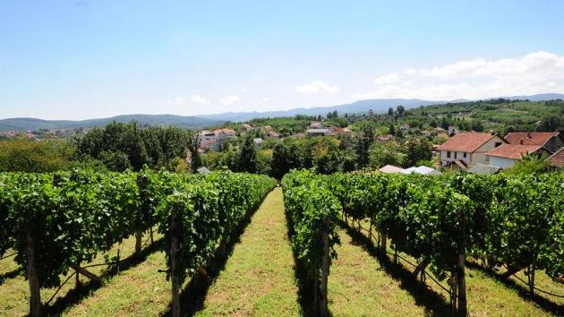Vinarija Grabak u Vrnjačkoj Banji