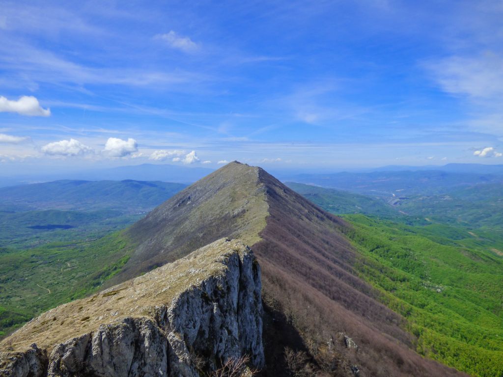 Suva planina