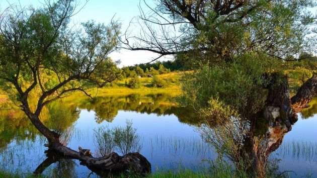 Vrmdžansko jezero kod Sokobanje
